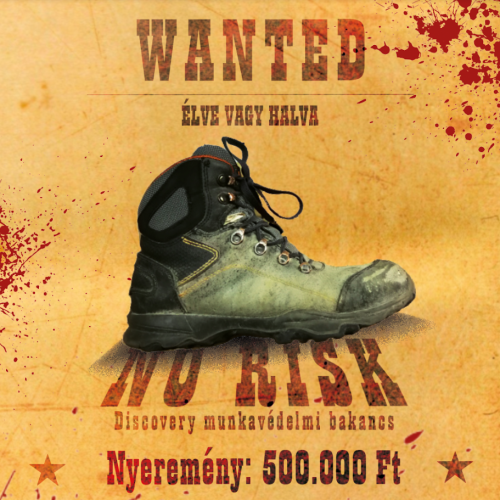 wanted-no-risk-500x500